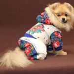 Одежды и аксессуаров для собак